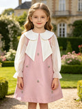 Pink A-Line Girls' Party Dress with Oversized Collar, Sheer Sleeves & Rhinestones, Elegant Dress for Special Occasions